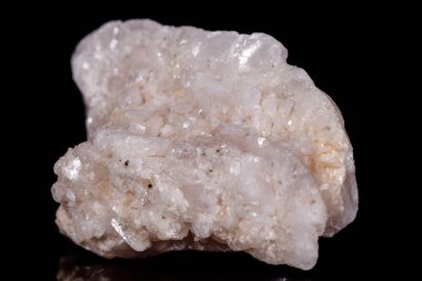 Makro mineral taş Amphibolite kuvars siyah arka plan üzerine
