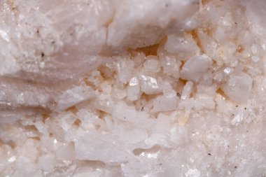 Makro mineral taş Amphibolite kuvars siyah arka plan üzerine