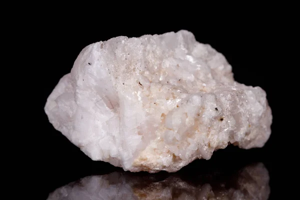 Макро мінеральний камінь Амфіболіт у кварці на чорному тлі — стокове фото