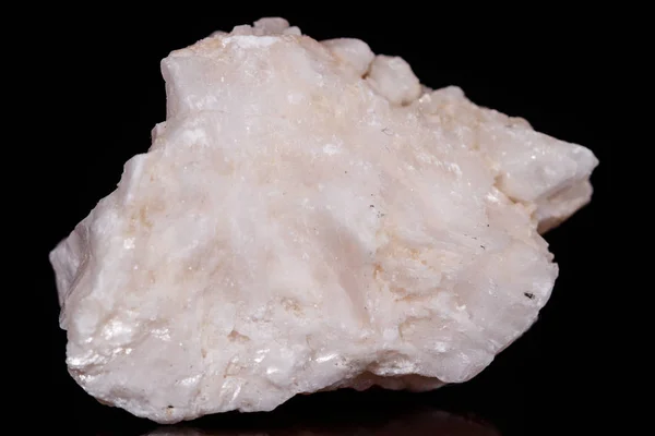 Pedra mineral macro Anfibolita em quartzo sobre fundo preto — Fotografia de Stock