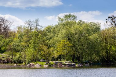 Yeşil Beyaz bulutlarda tașõma ile güzel bir küçük nehir kıyısında