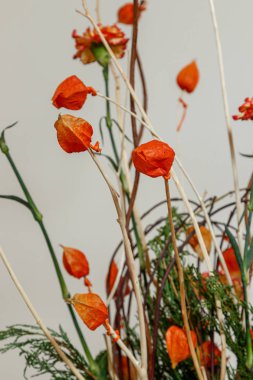 Taze çiçeklerin Noel kompozisyonu 