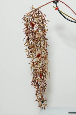 Taze çiçeklerin Noel kompozisyonu 