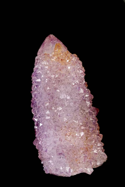 Siyah arka planda makro mineral taş ametist kaktüsü — Stok fotoğraf