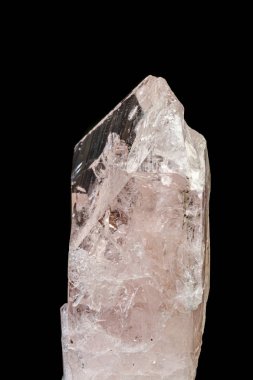 Siyah zemin üzerinde makro mineral taşı Danburit 