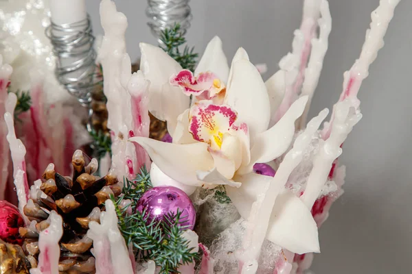 Kerst samenstelling van bloemen en kerstversiering — Stockfoto