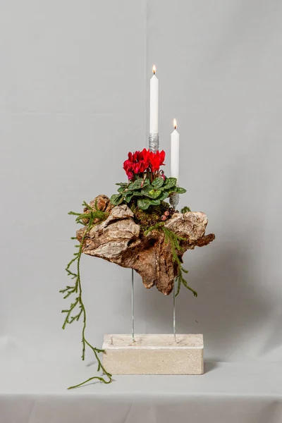 Composition de Noël de fleurs et décorations de Noël — Photo