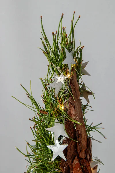 Composición navideña de flores y decoraciones navideñas —  Fotos de Stock