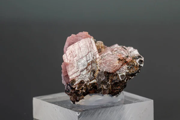 Siyah arka planda makro mineral taşı Rhodochrosite — Stok fotoğraf