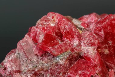 Siyah arka planda makro mineral taşı Rhodochrosite 