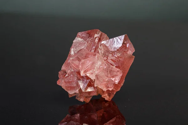 Macro mineral stone pink fluorite on a black background — Stock Photo, Image