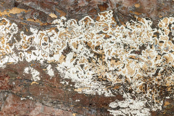 Makró ásványi bizmut kő hartenstein schacht fehér háton — Stock Fotó