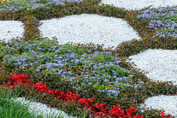 Belle aiuole multicolori di fiori — Foto Stock