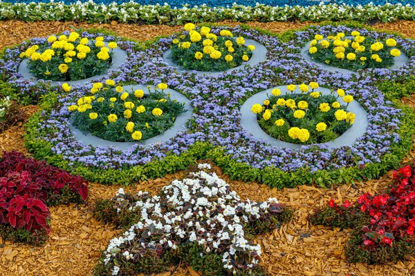 Vackra flerfärgade rabatter av blommor — Stockfoto