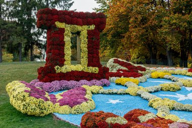 Çok renkli çiçek yatakları, güzel kasımpatılar. 
