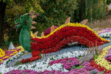 Çok renkli çiçek yatakları, güzel kasımpatılar. 