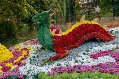 Çok renkli çiçek yatakları, güzel kasımpatılar. 