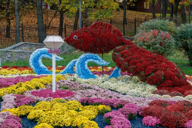 Çok renkli çiçek yatakları, güzel kasımpatılar. 