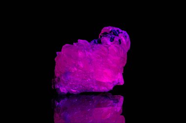 Siyah bir B üzerinde ultraviyole ışığın altındaki makro mineral taş kalsit