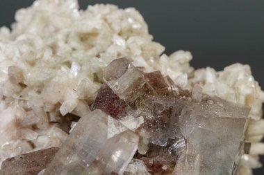 Gri bir arka planda makro mineral taşı Apophyllite durgun
