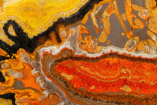 Gri arka planda Macro mineral taşı "Arı" Jasper — Stok fotoğraf
