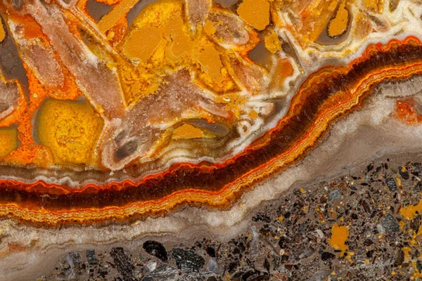 Макро мінеральний камінь "Bee" Яспер на сірому фоні — стокове фото