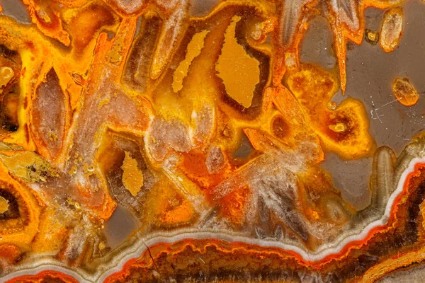 Макро минеральный камень "Пчела" яшма на сером фоне — стоковое фото
