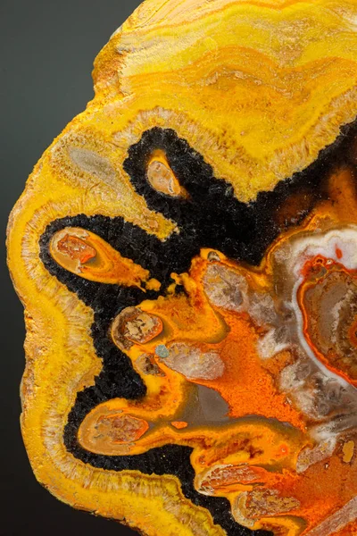 Μεταλλική πέτρα macro "Bee" ίασπη σε γκρι φόντο — Φωτογραφία Αρχείου