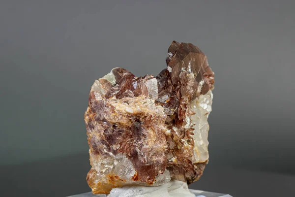 Makro ásványi anyagok Axinite kő szürke alapon — Stock Fotó
