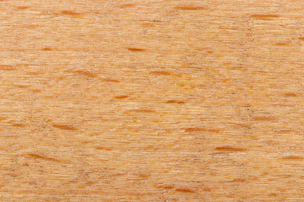 Sarı ahşabın makro dokusu — Stok fotoğraf