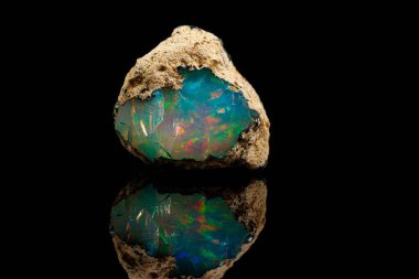 Makro mineral taşı nadir ve güzel opalleri siyah bir taşın üzerinde