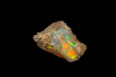 Makro mineral taşı nadir ve güzel opalleri siyah bir taşın üzerinde