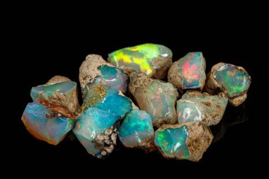 Makro mineral taşı nadir ve güzel opalleri siyah bir taşın üzerinde