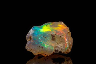 Makro mineral taşı nadir ve güzel opalleri siyah bir taşın üzerinde