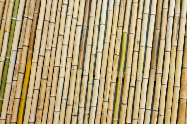 Elegante Jalousien Aus Dünnem Bambus — Stockfoto