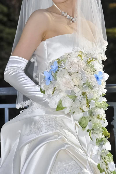 Bridal Image Splendid Elegant Very Nice Wedding — Stock Photo, Image