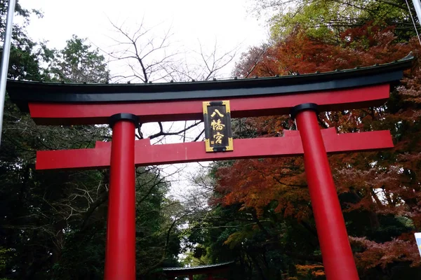 Büyük Kırmızı Torii Yaklaşıyor — Stok fotoğraf