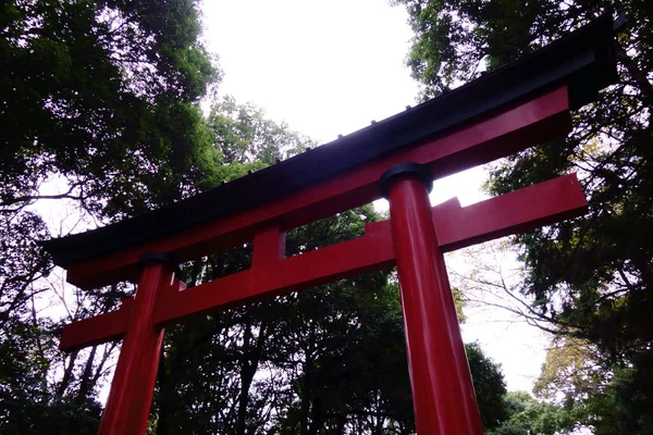 Μεγάλες Κόκκινες Torii Στην Προσέγγιση — Φωτογραφία Αρχείου