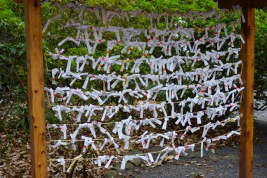 Bir dilek, tapınak bahçesinde kepçelendi