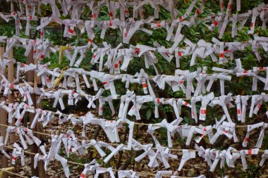 Bir dilek, tapınak bahçesinde kepçelendi