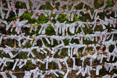 Bir dilek, tapınak bahçesinde kepçelendi