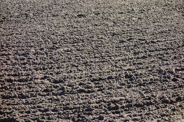 Muddy Soil Pattern Horse Stadium — Stock Photo, Image