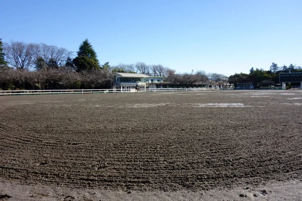 Modello Terreno Fangoso Sullo Stadio Del Cavallo — Foto Stock