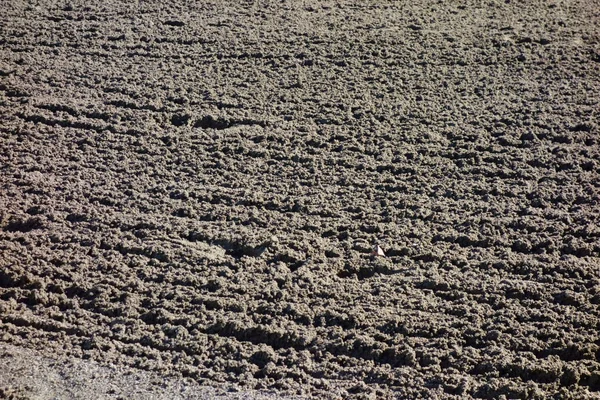 Muddy Soil Pattern Horse Stadium — 스톡 사진