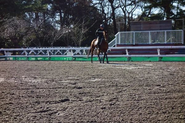 A stadium for horseback riding training and practice