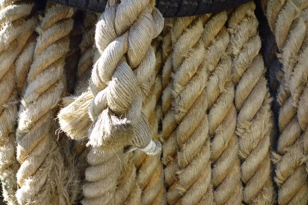 Товсті Жорсткі Мотузки Катання Наземному Обладнанні — стокове фото