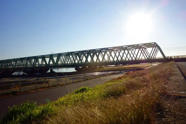 Large Railway Bridge Railway Vehicles Pertaining Taiga — 스톡 사진