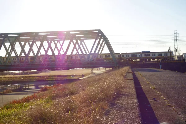 Большой Железнодорожный Мост Железнодорожного Транспорта Относящегося Тайге — стоковое фото