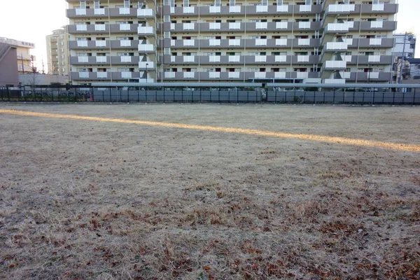 Início Manhã Inverno Pastagens Cobertas Geada Iluminadas Por Raios Solares — Fotografia de Stock