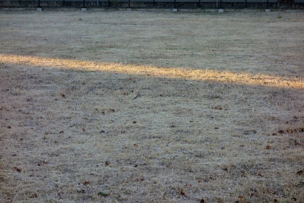 Früher Wintermorgen Frostbedecktes Grasland Das Von Sonnenstrahlen Erhellt Wird — Stockfoto